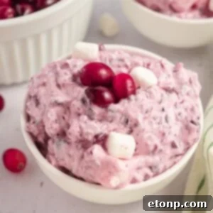 counter with a white bowl with Cranberry Fluff Salad in it topped with fresh cranberries and mini marshmallows