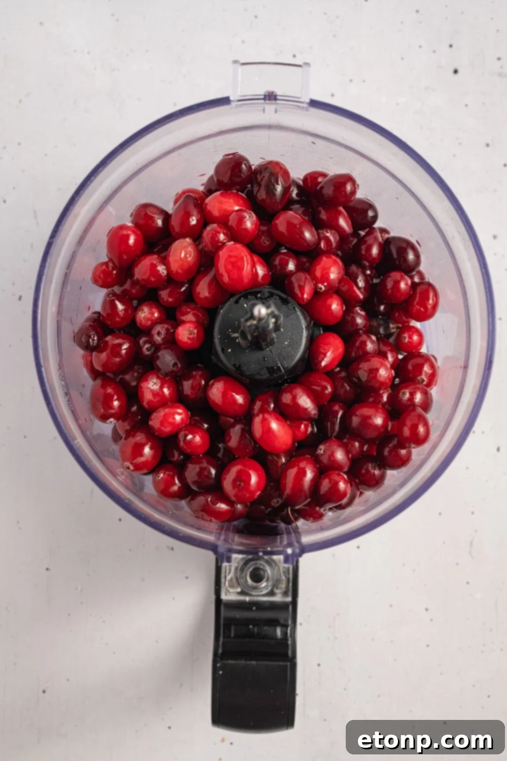 food processor with washed cranberries in it sitting on white table 