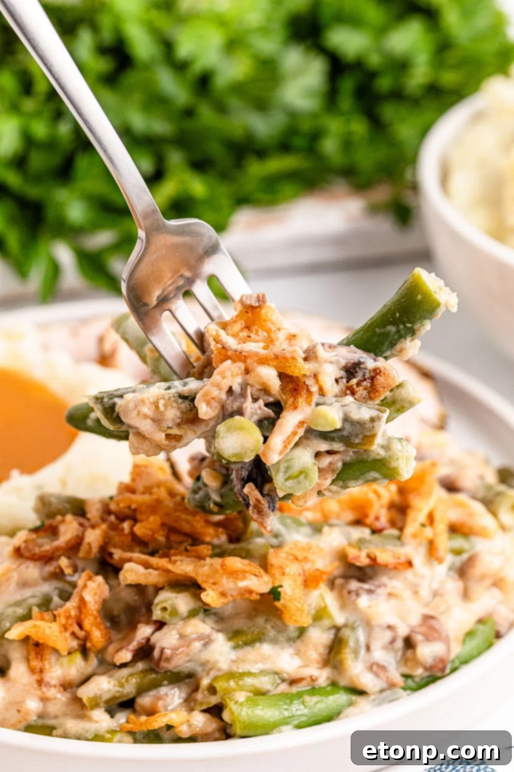 Green Bean Casserole on a white plate on table with a fork scooping up some of the mixture. Parsley greens are behind it on table 