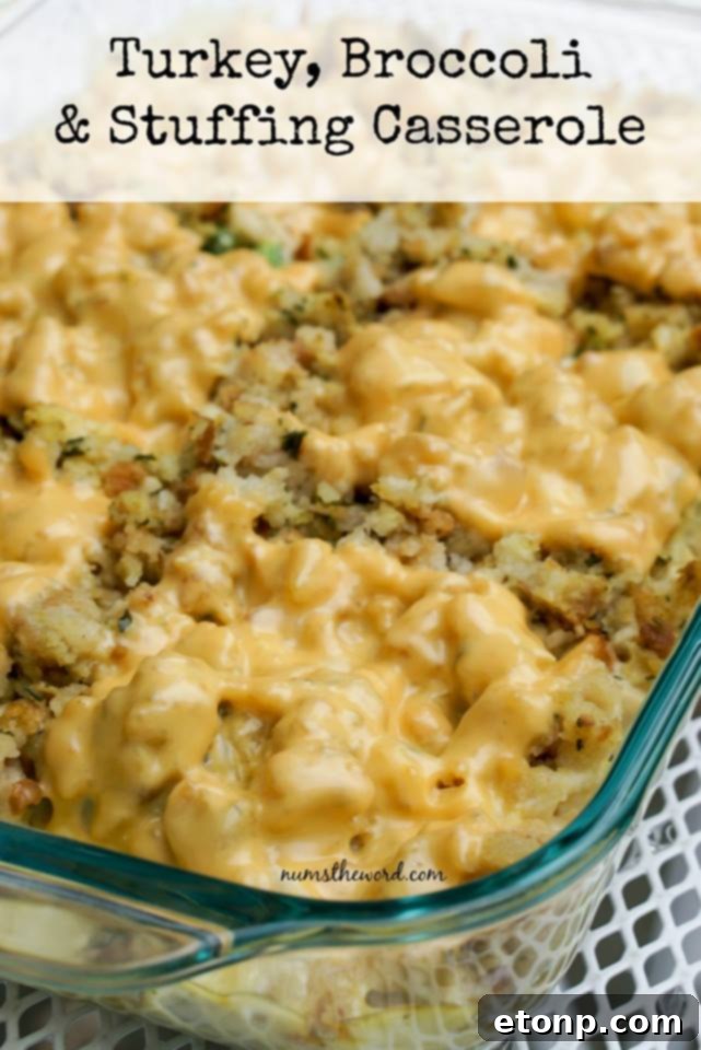 Turkey, Broccoli & Stuffing Casserole