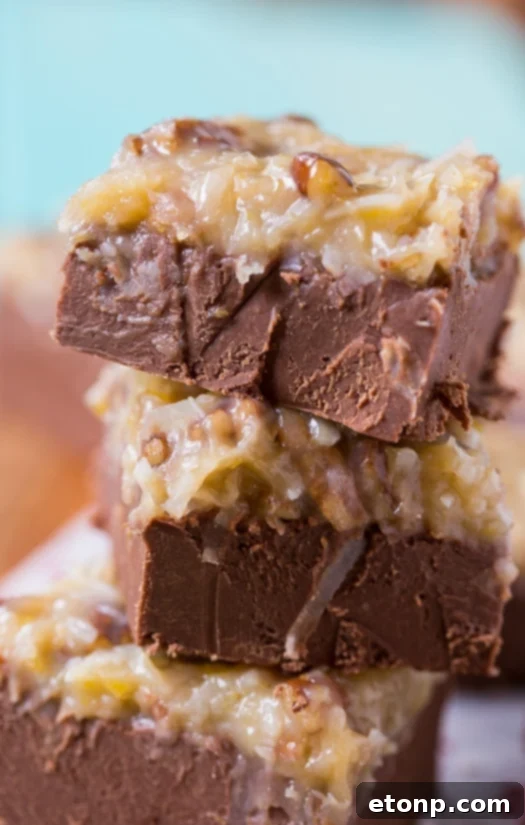 German Chocolate Fudge and Christmas Candies