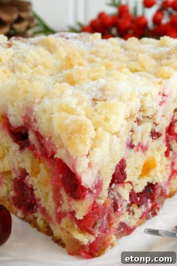 Christmas Cranberry Buckle with Streusel Topping