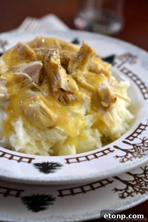Chicken and Gravy with Mashed Potatoes