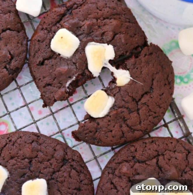 Hot Chocolate and Marshmallows Cookies