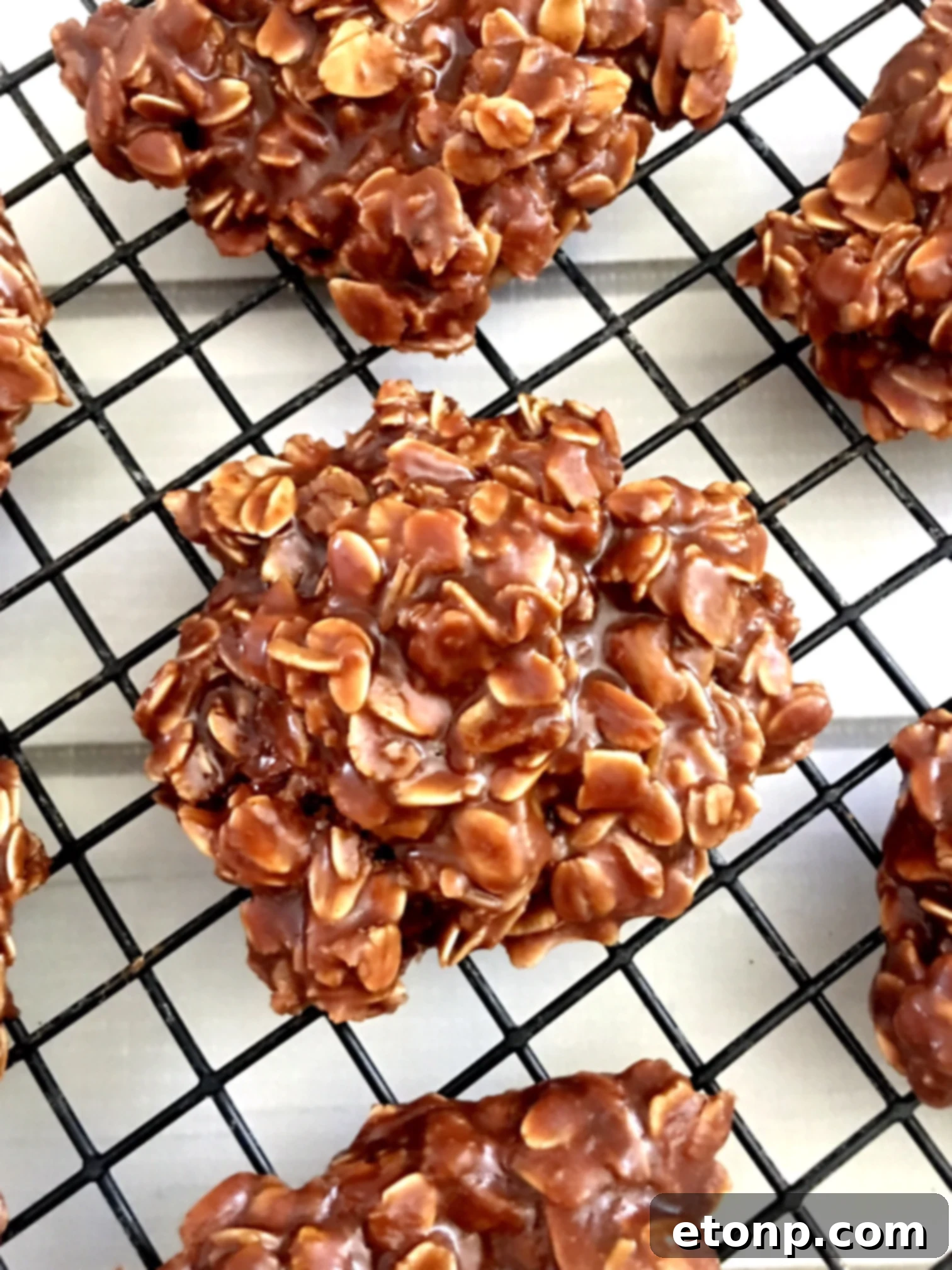 Easy Chocolate Peanut Butter No Bake Cookies 2 Assortment of festive holiday no-bake cookies, perfectly set on parchment paper.