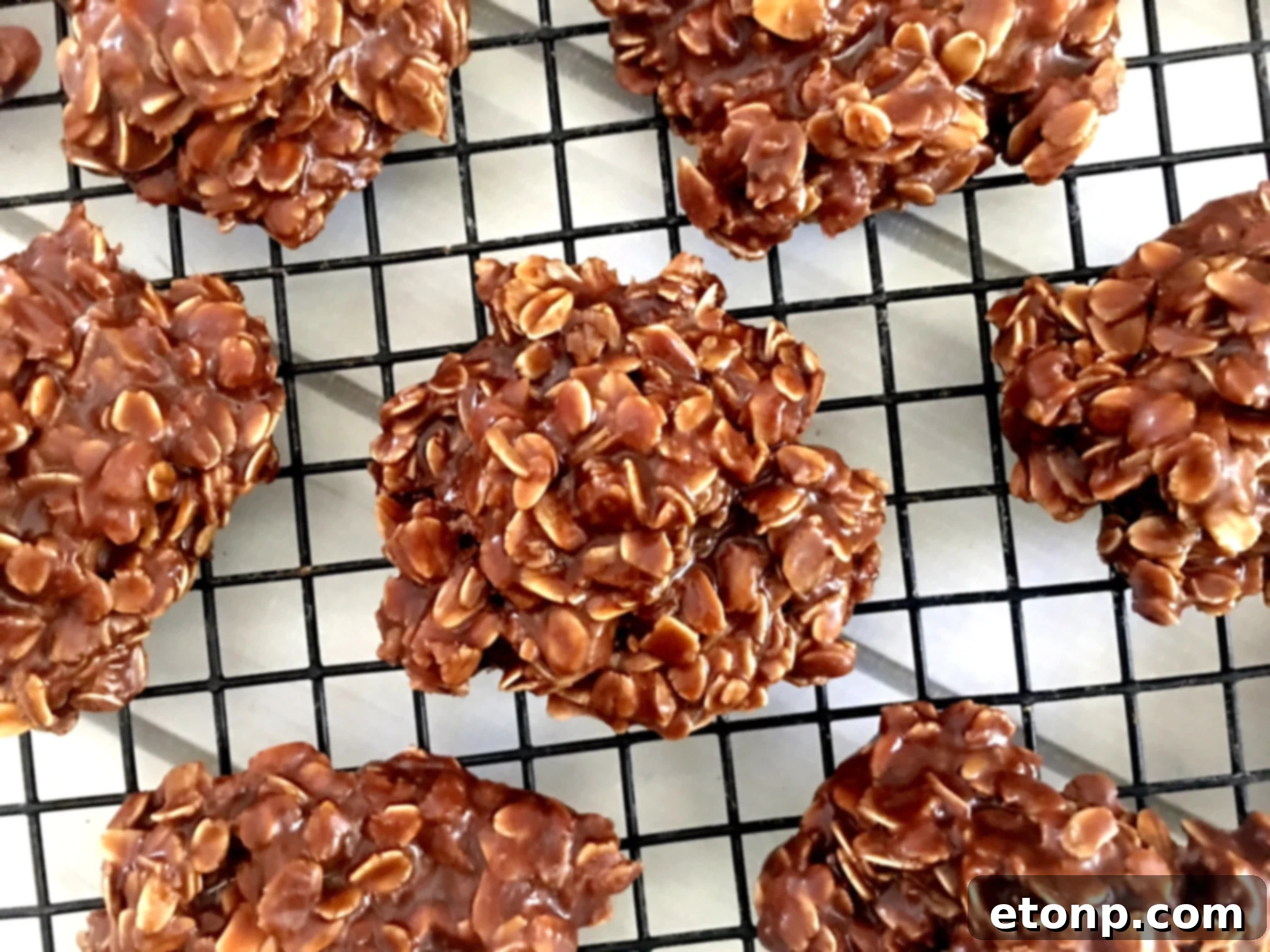 Easy Chocolate Peanut Butter No Bake Cookies 7 A plate of chocolate peanut butter no-bake cookies, showcasing their inviting appearance.