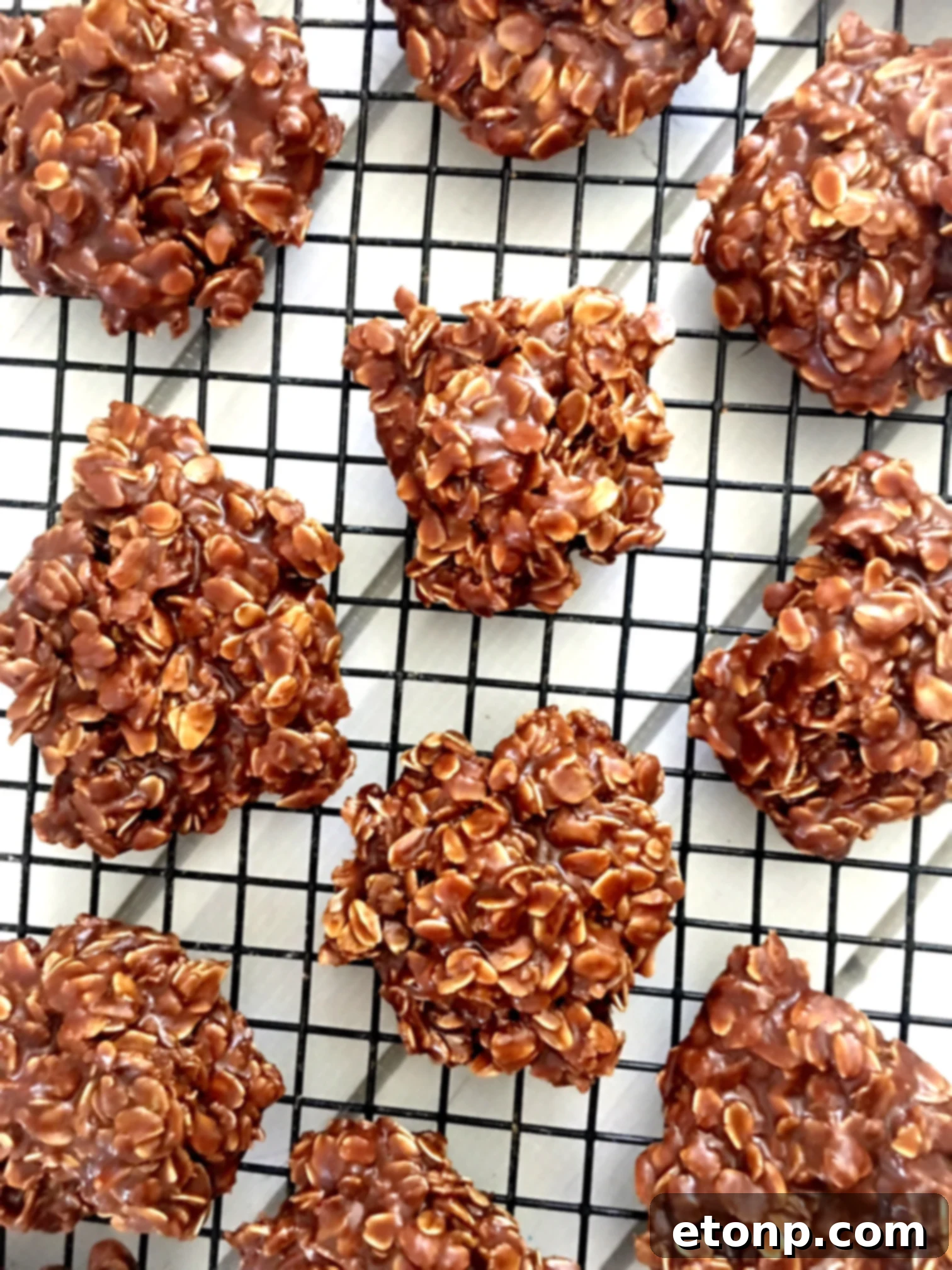 Easy Chocolate Peanut Butter No Bake Cookies 8 An overhead shot of several chocolate peanut butter no-bake cookies arranged on a festive plate.