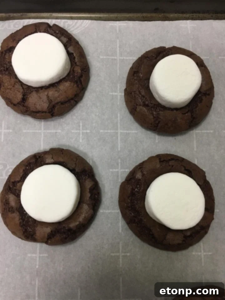 A close-up shot of a hot cocoa cookie, clearly showing a perfectly toasted marshmallow nestled in its center, ready for icing.