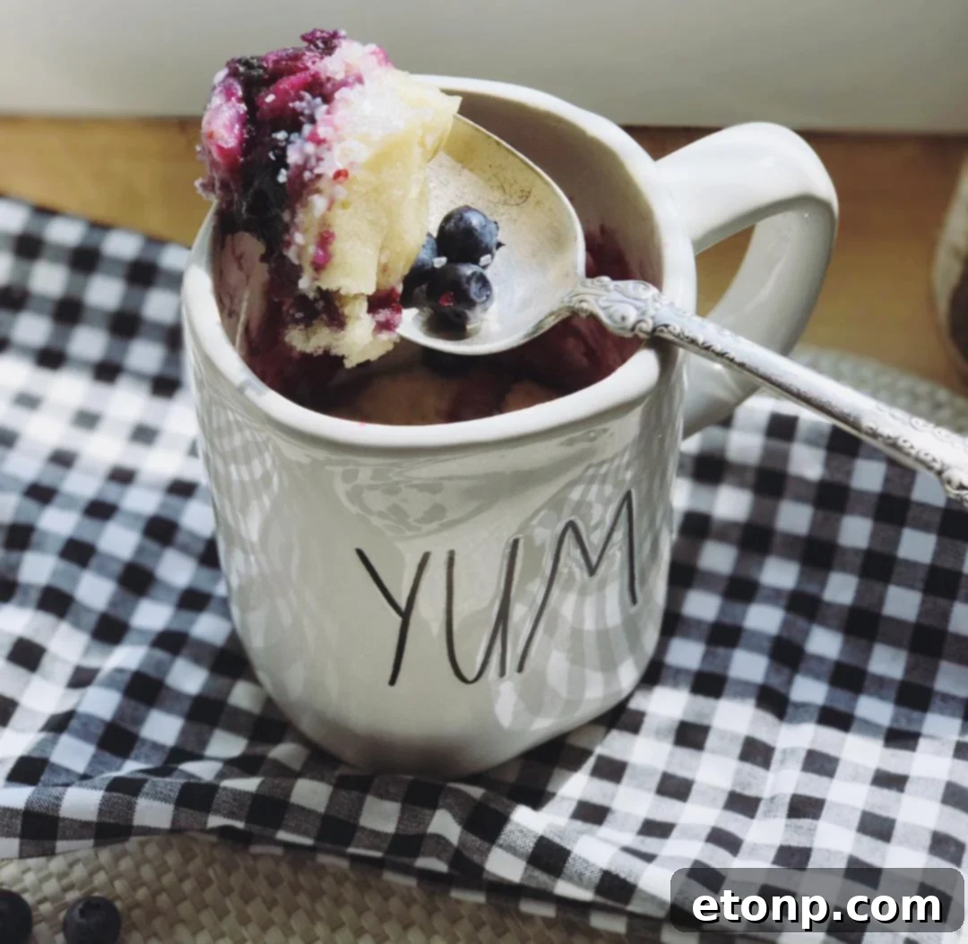 Final plated blueberry muffin mug cake, garnished and ready to eat