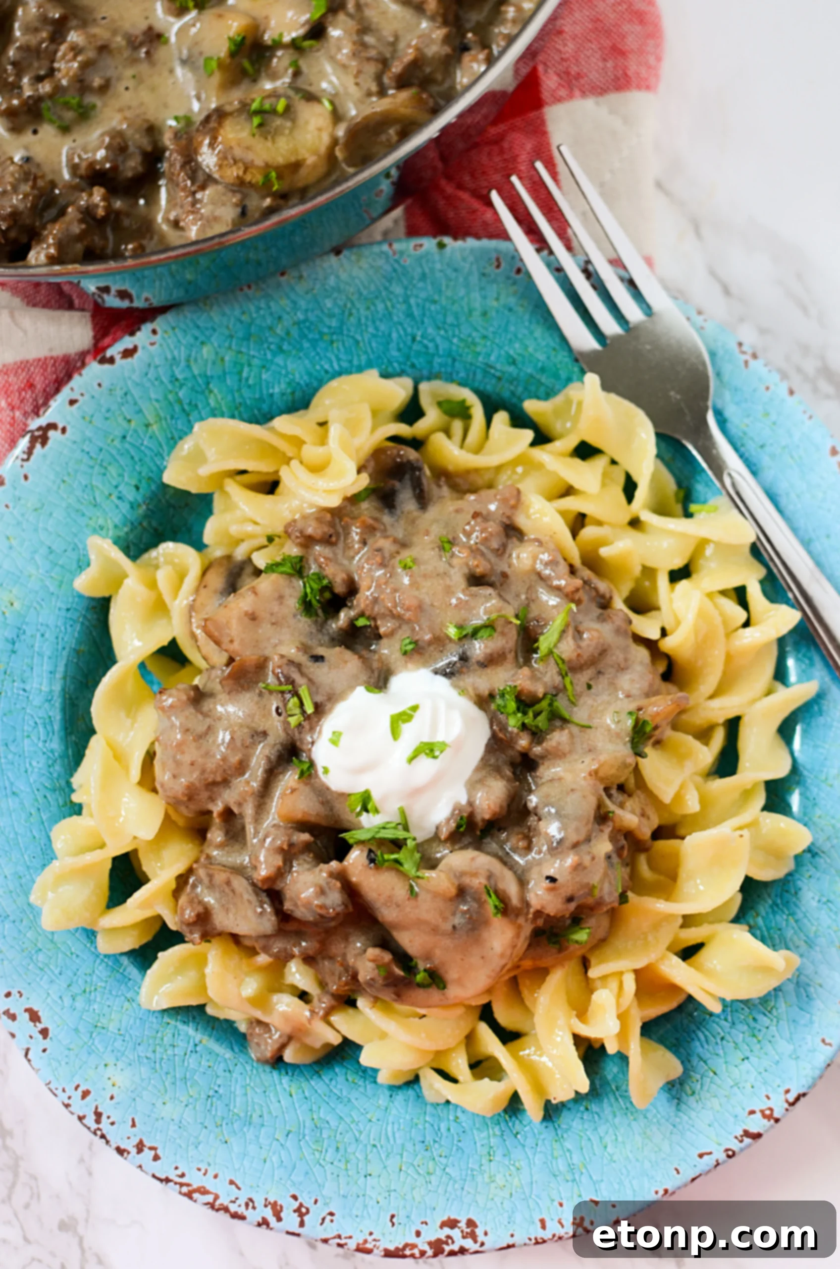 Hearty portion of ground beef stroganoff with a creamy sauce.