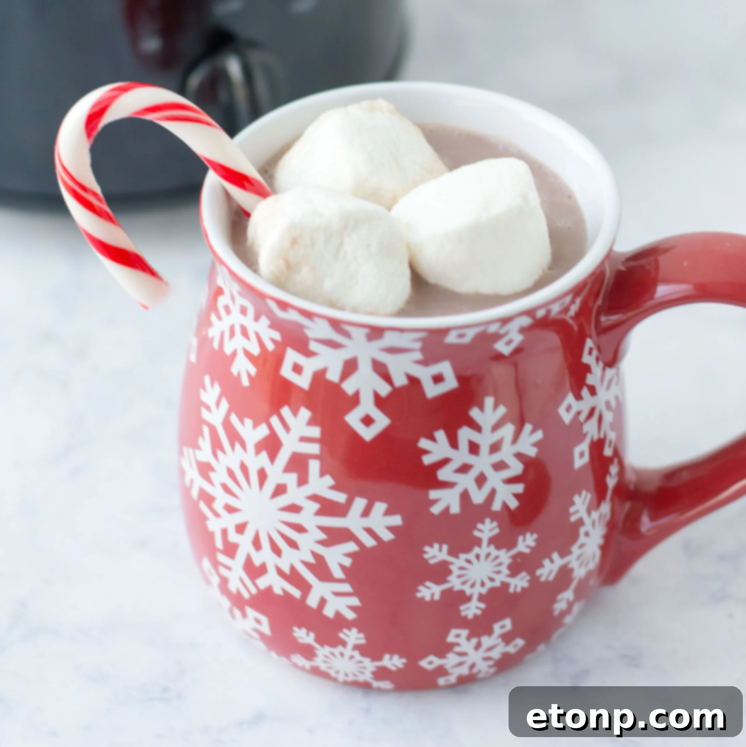Two mugs of creamy hot chocolate, one topped with whipped cream and sprinkles, another with a shot of liquor and marshmallows.