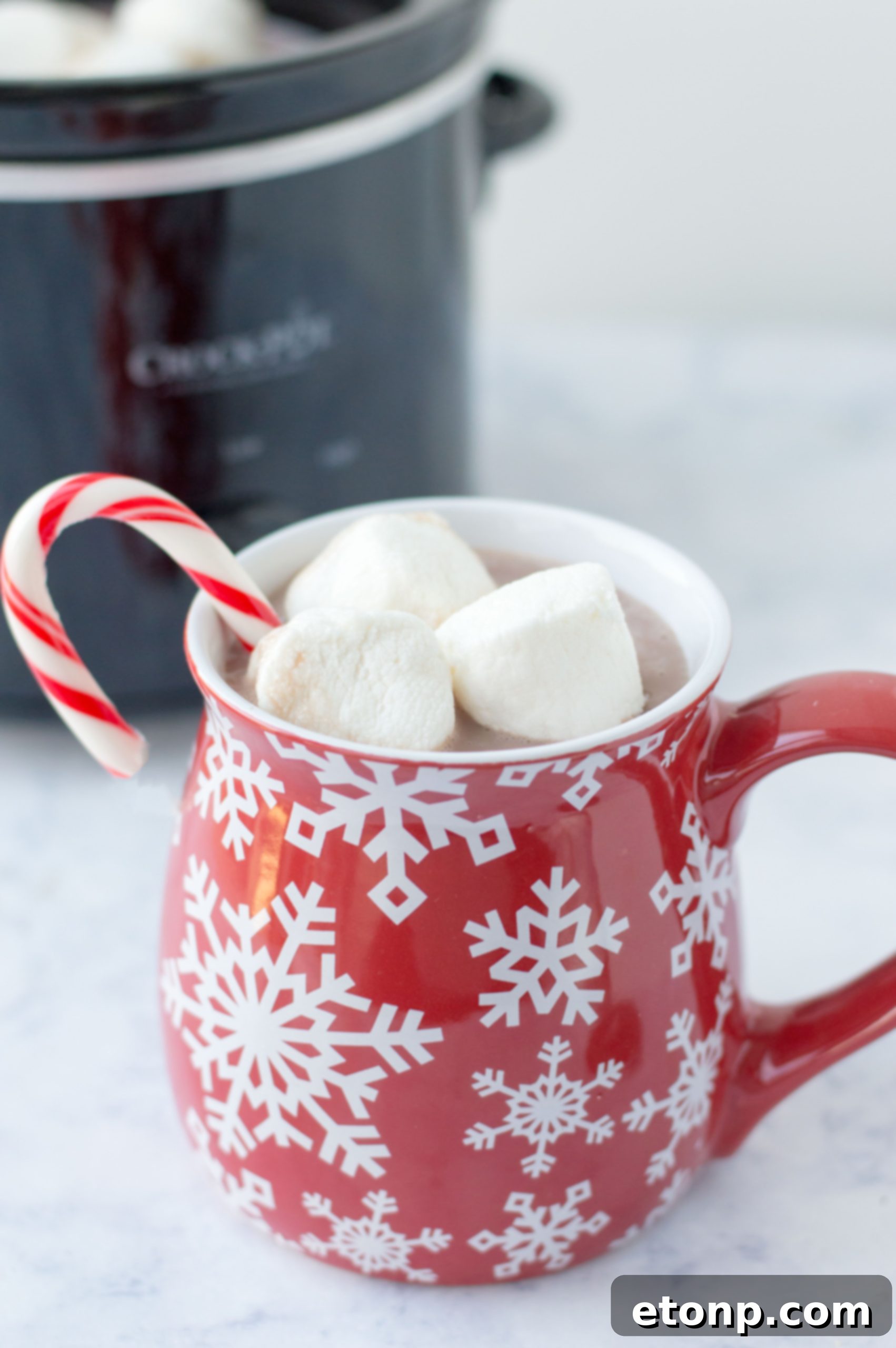 Close-up of a mug of rich slow cooker hot chocolate, garnished with whipped cream and a chocolate drizzle.
