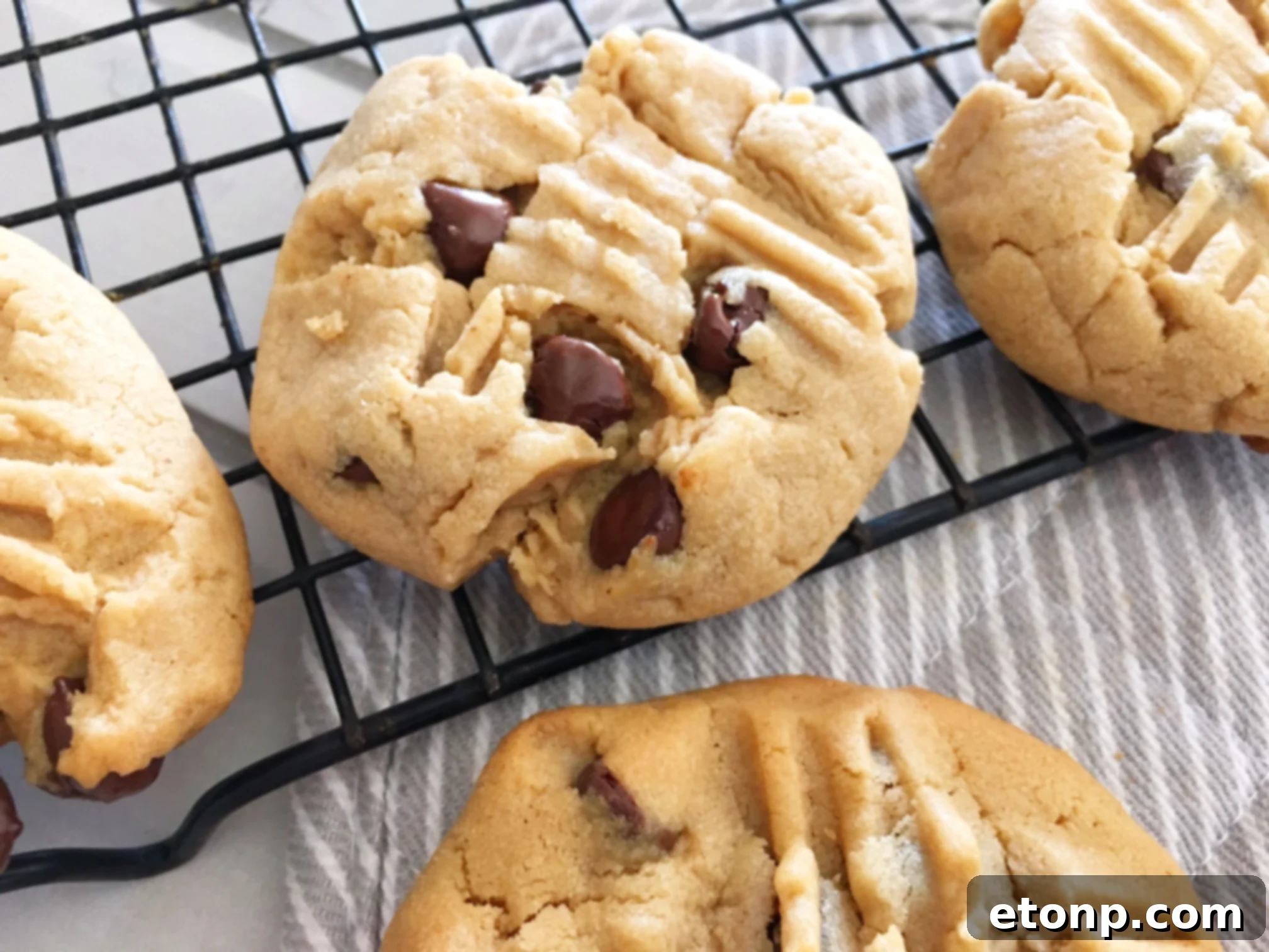 Close-up of freshly baked, soft peanut butter cookies on a baking sheet