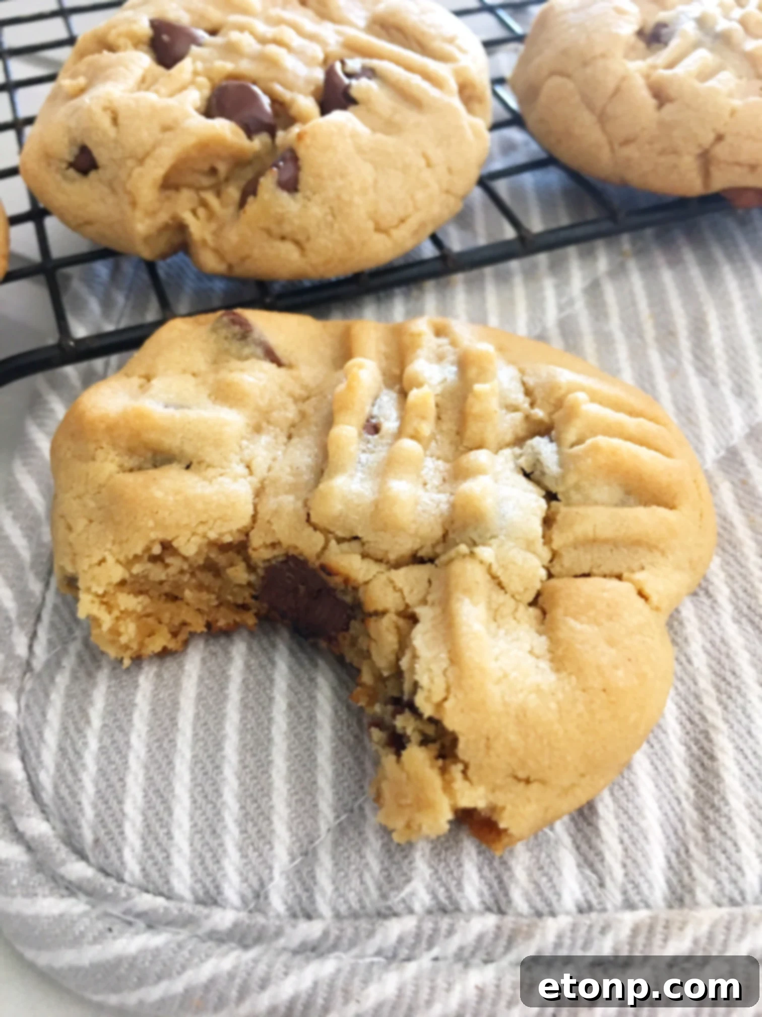 Homemade peanut butter cookies arranged artistically, ready for a dessert platter