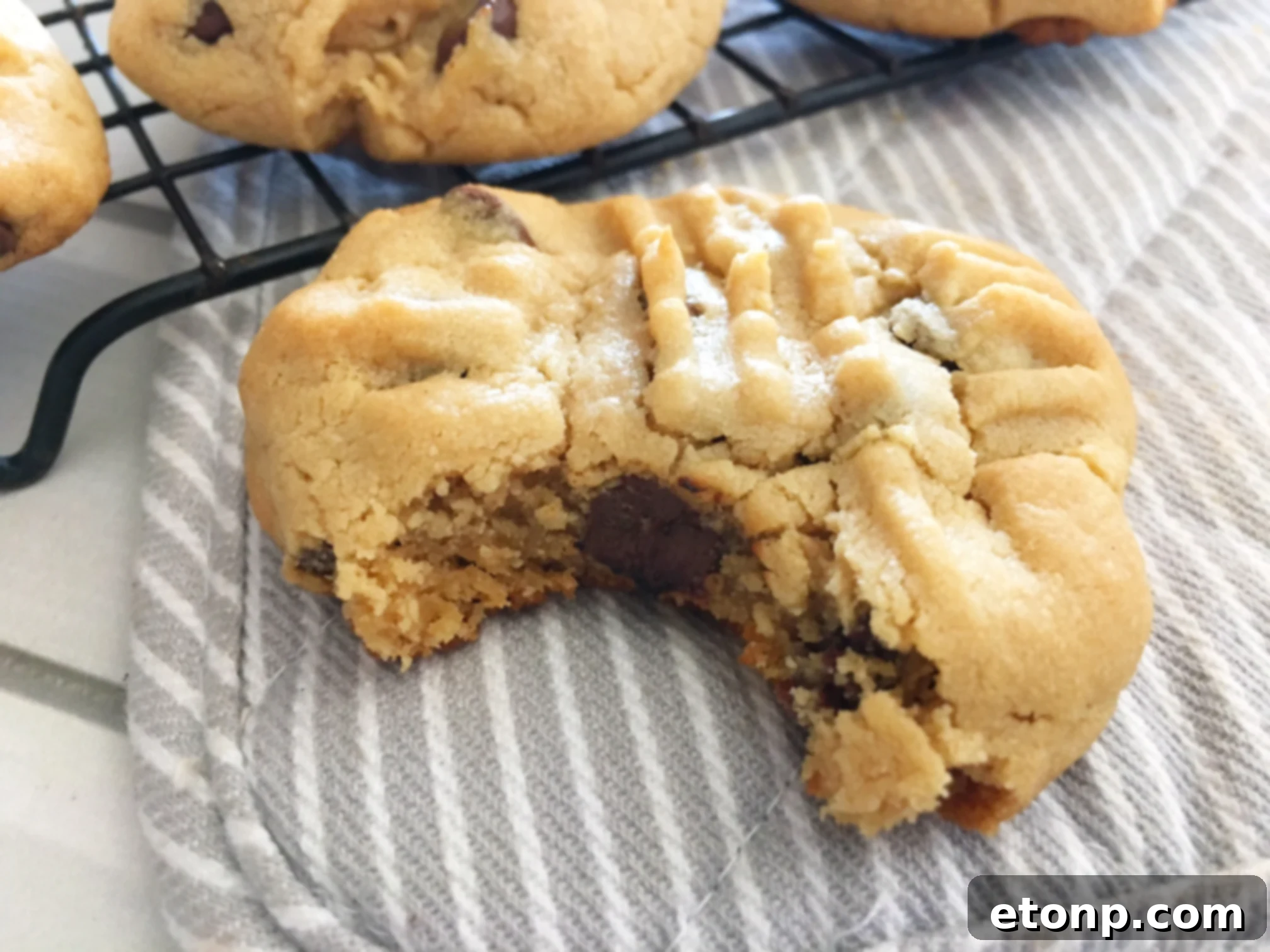 Close-up of a single peanut butter cookie, showcasing its soft texture and the iconic fork marks