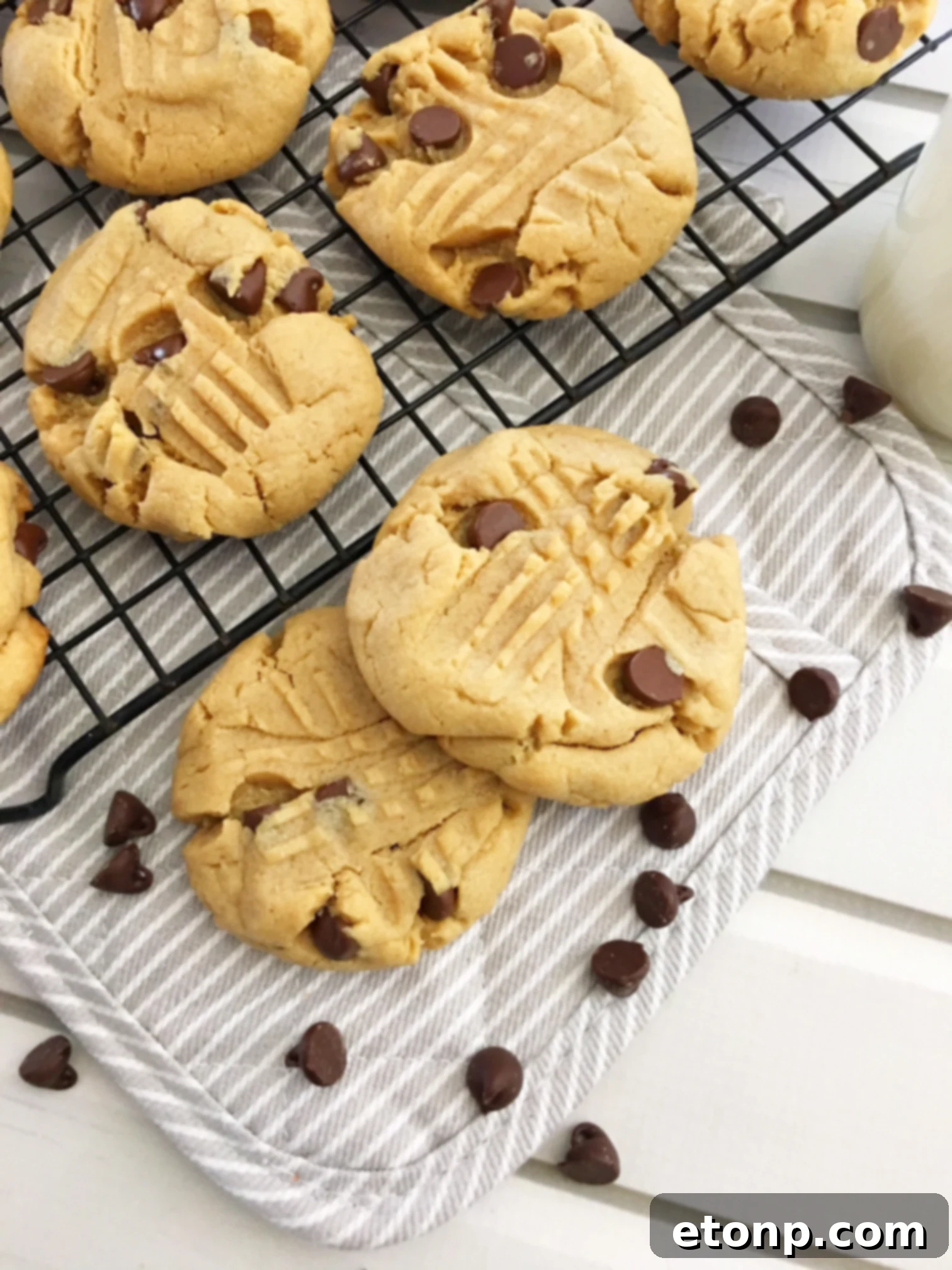 A plate of freshly baked peanut butter cookies, ready to be enjoyed with a glass of milk