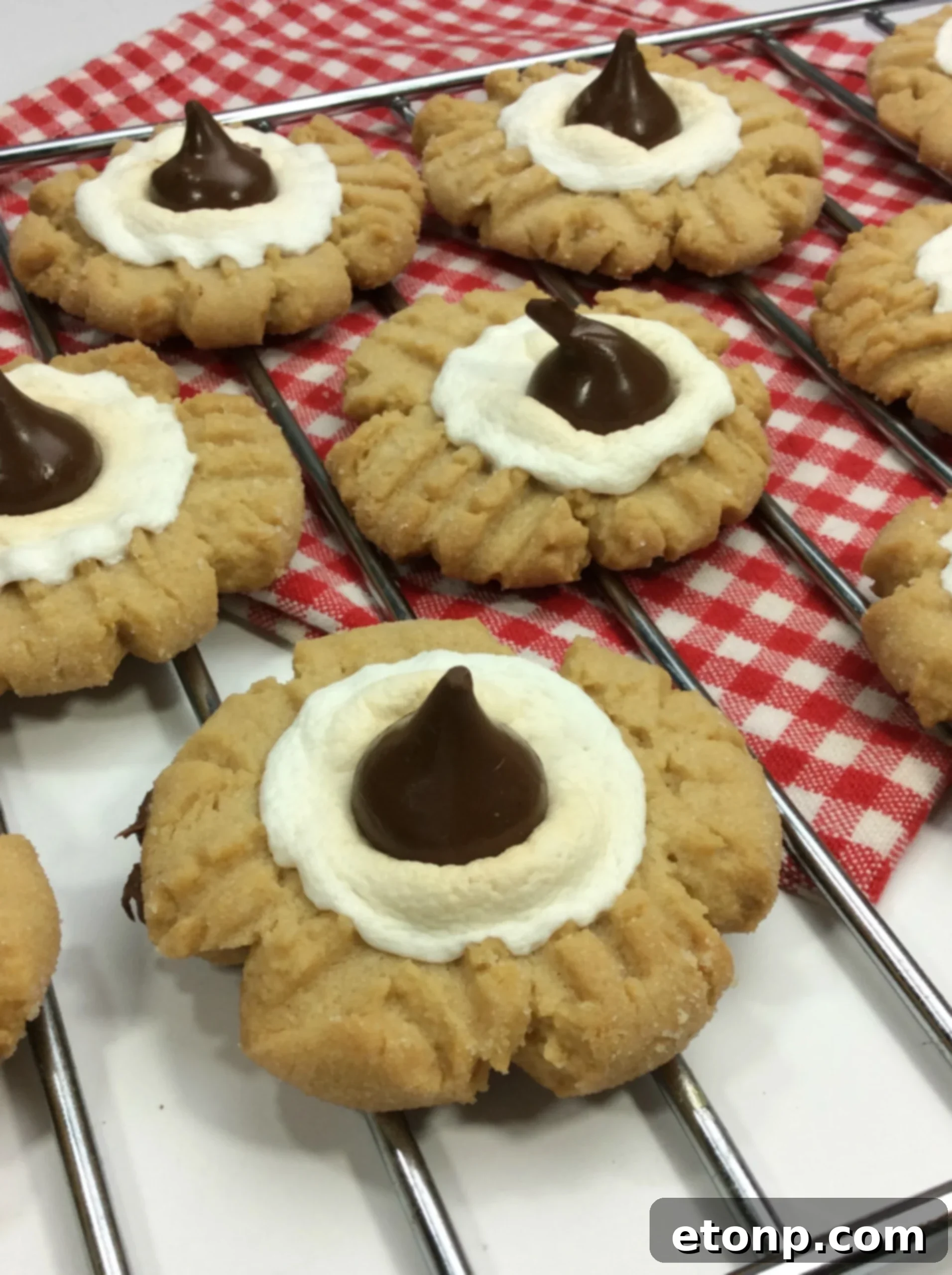 Hand holding a warm, gooey Peanut Butter S'mores Cookie