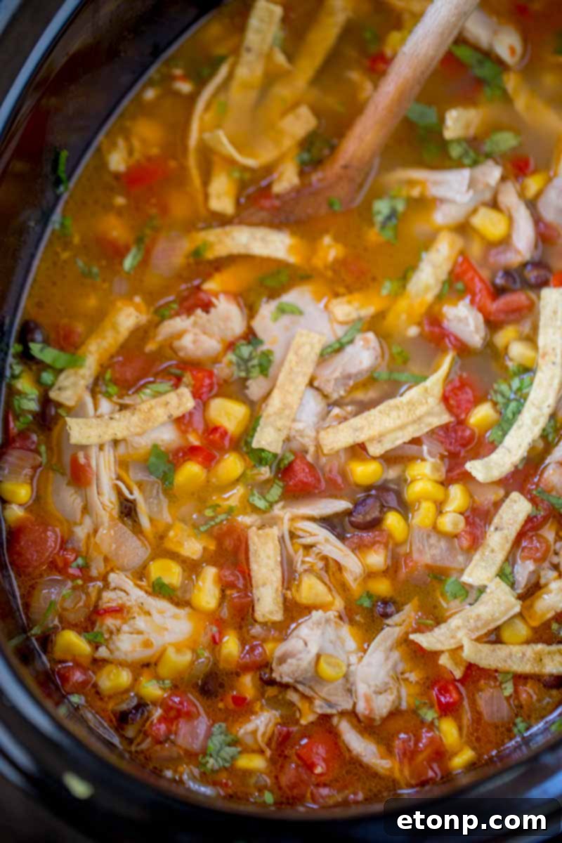 Slow Cooker Chicken Tortilla Soup