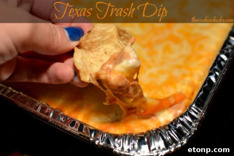 Texas Trash Dip