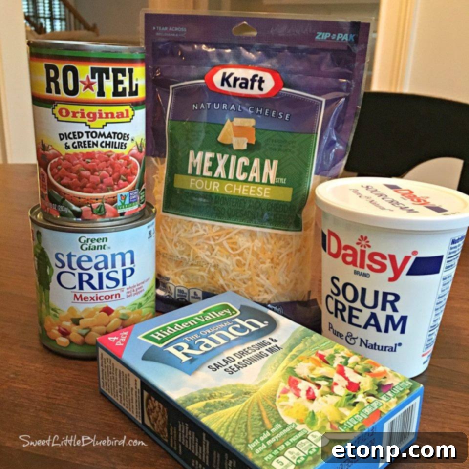 Fiesta Party Dip