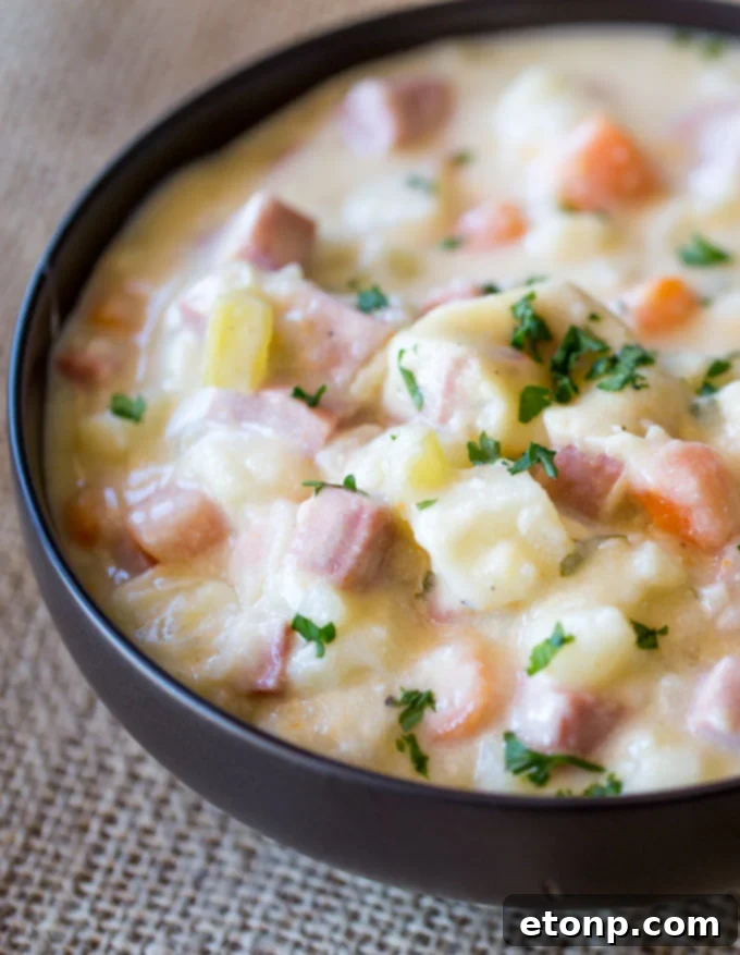 Slow Cooker Ham and Potato Soup