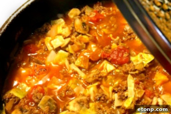 A close-up of the Crockpot Cabbage Roll Soup in a rustic serving bowl, with visible pieces of cabbage, ground beef, and rice, ready to be enjoyed.