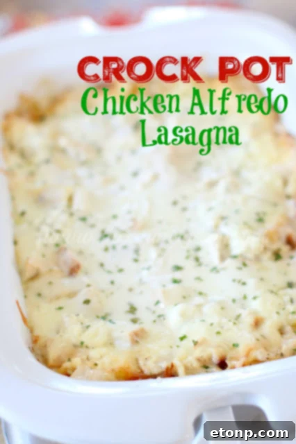 Layers of creamy Crock Pot Chicken Alfredo Lasagna in a slow cooker