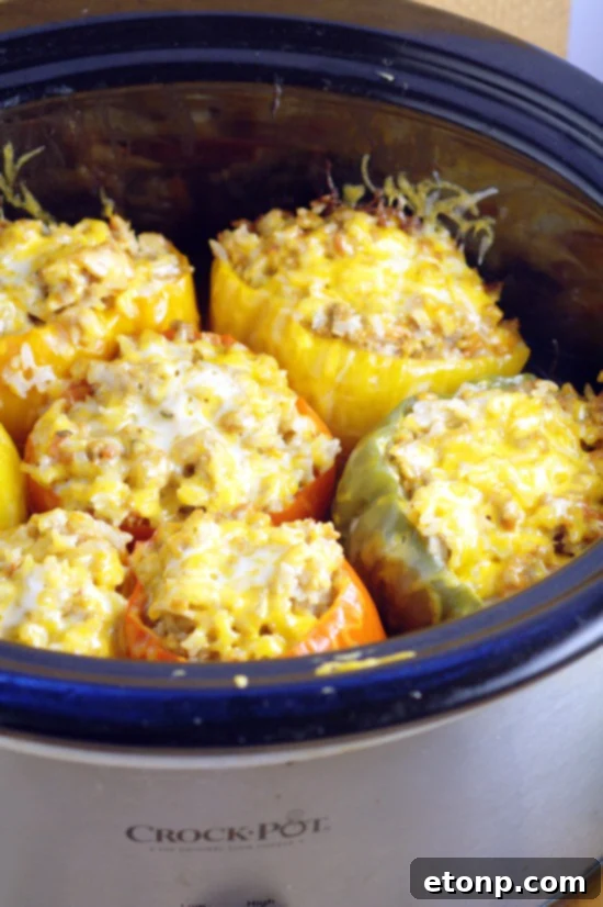 Colorful Slow Cooker Stuffed Peppers with a savory meat and rice filling, garnished with fresh herbs