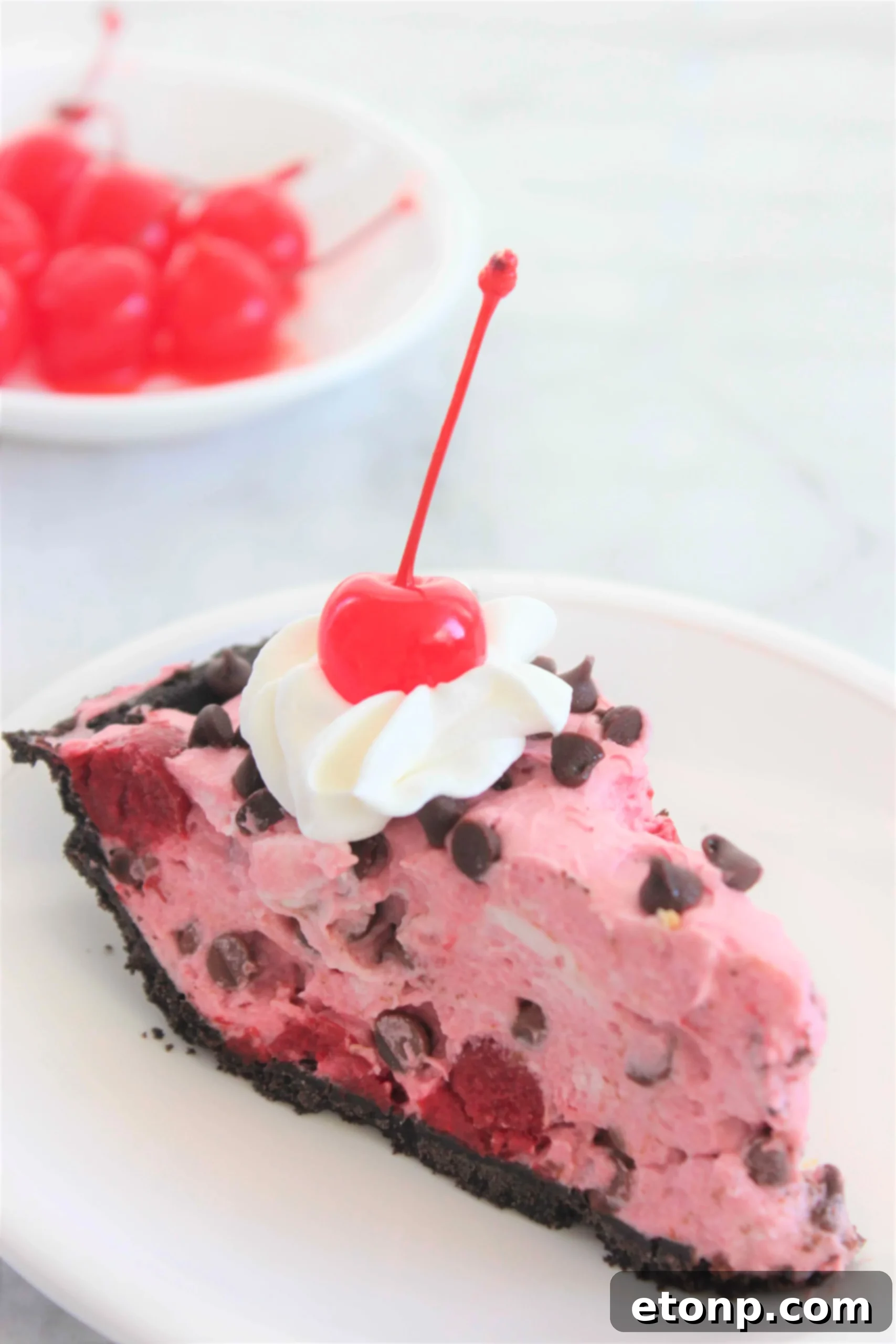 A beautifully sliced No-Bake Cherry Chocolate Chip Dreamsicle Pie, showing its creamy layers and chocolate cookie crust, garnished with fresh cherries.