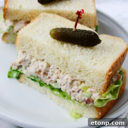 The Ultimate Chicken Salad 7 A perfectly portioned serving of homemade chicken salad.