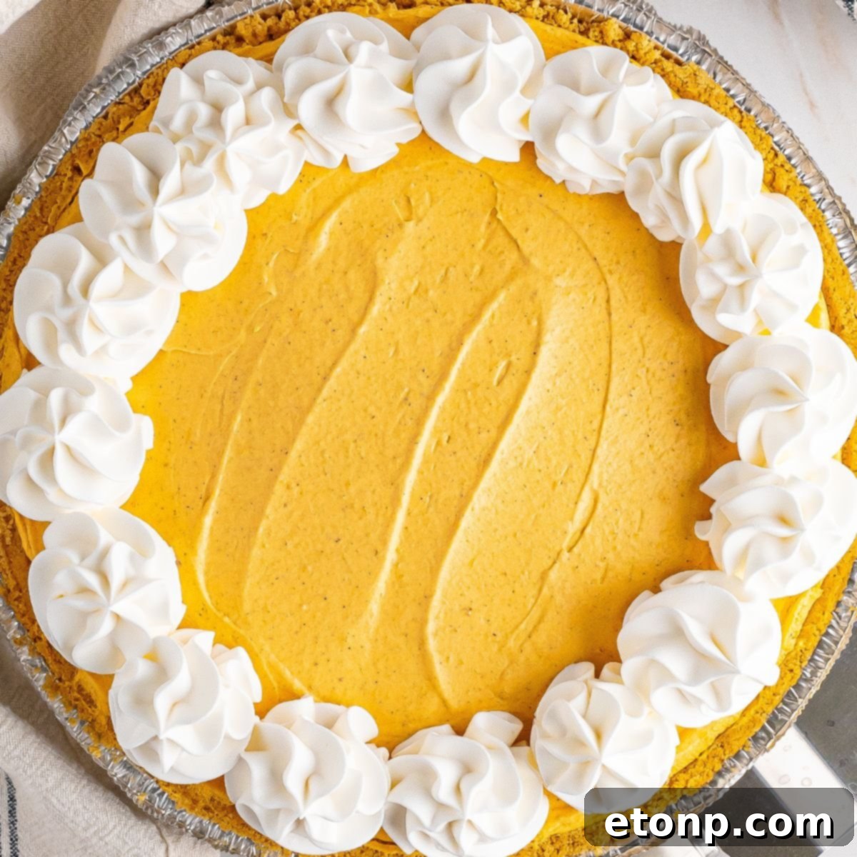 No Bake Pumpkin Cheesecake overhead view