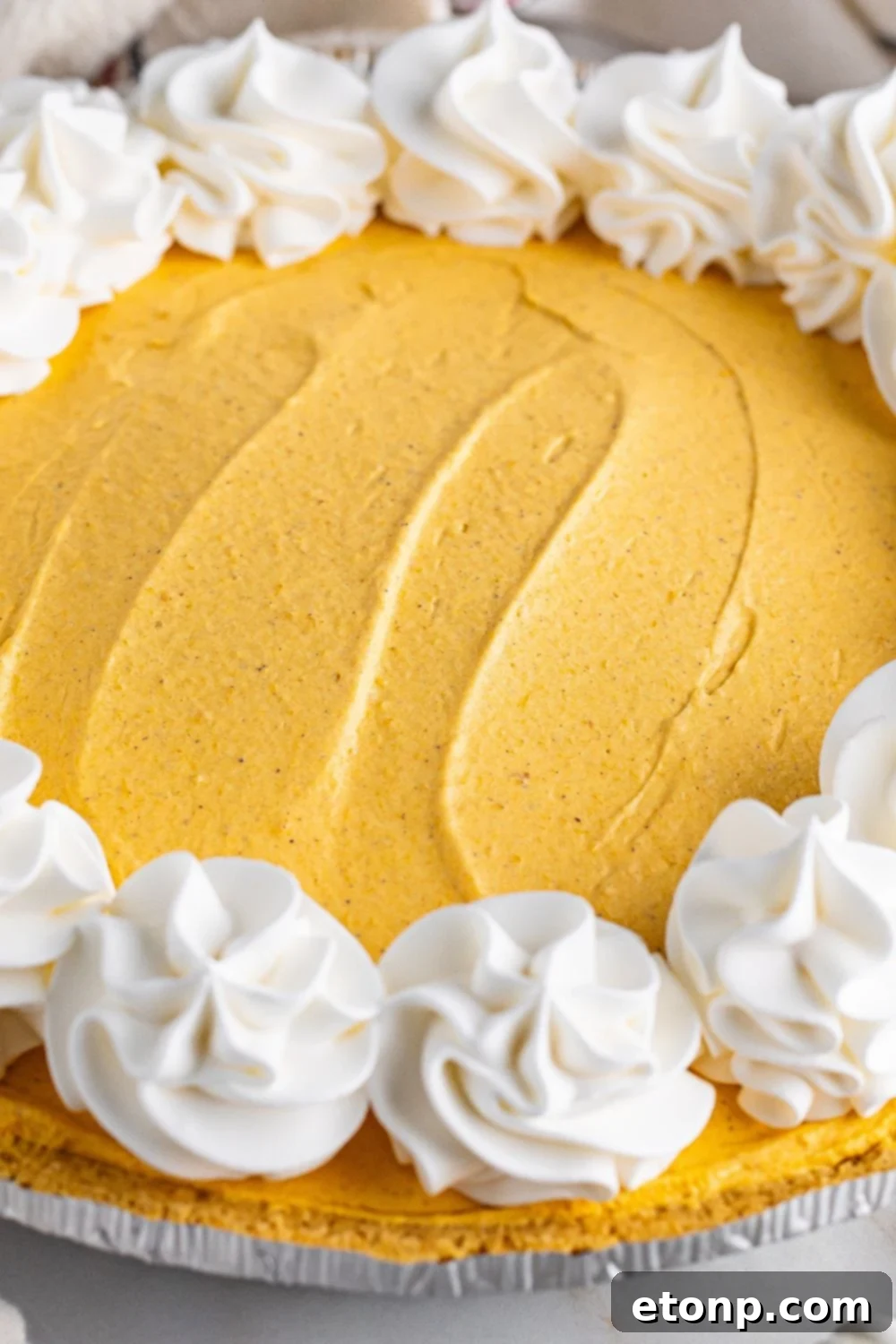 no bake pumpkin cheesecake on table