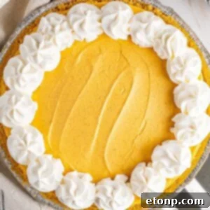 No Bake Pumpkin Cheesecake overhead view