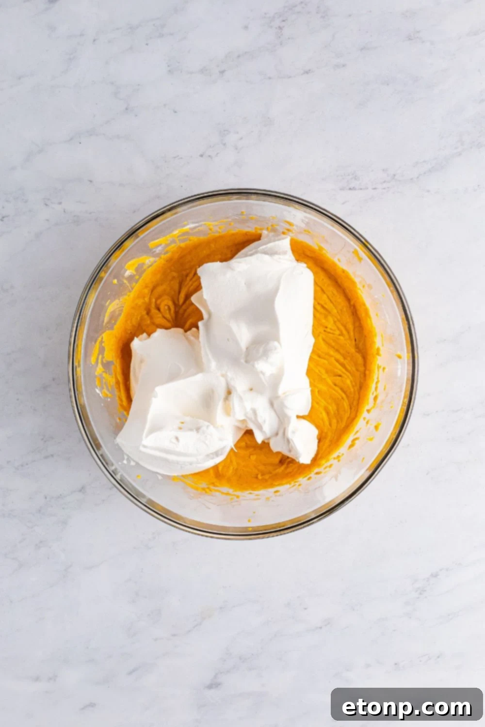 pumpkin cheesecake with whipped cream on top