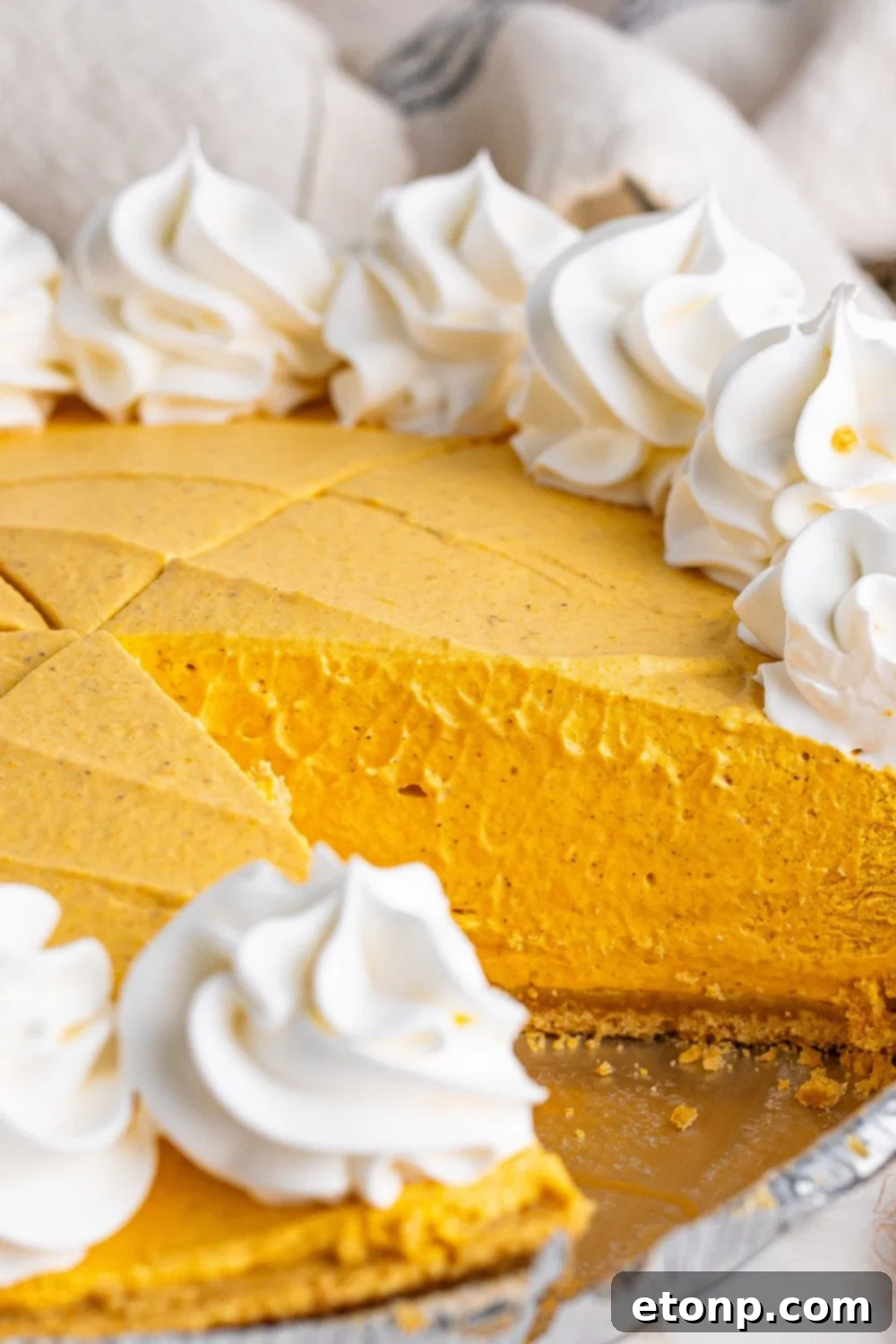 No Bake Pumpkin Cheesecake with a slice taken out of the cheesecake 
