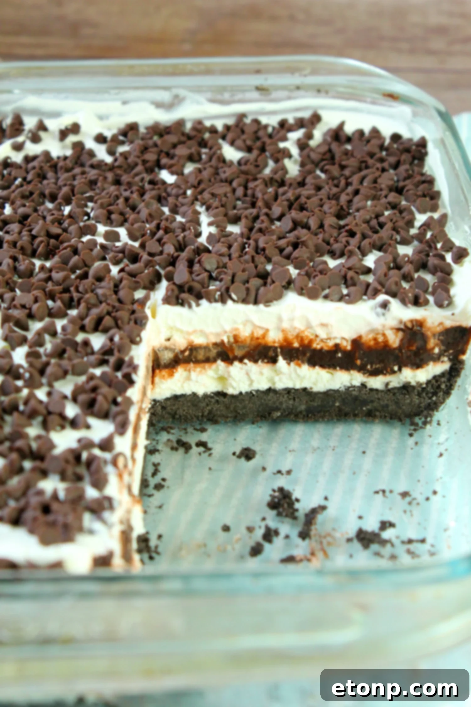 A full tray of No-Bake Chocolate Lasagna, pre-sliced and ready for individual servings.
