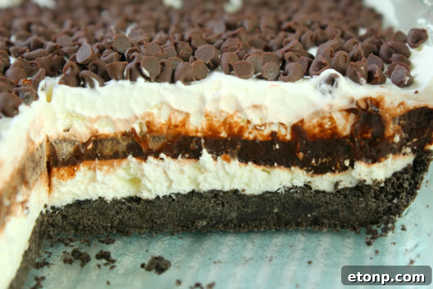A perfectly cut individual slice of No-Bake Chocolate Lasagna on a serving plate, clearly displaying each decadent layer.