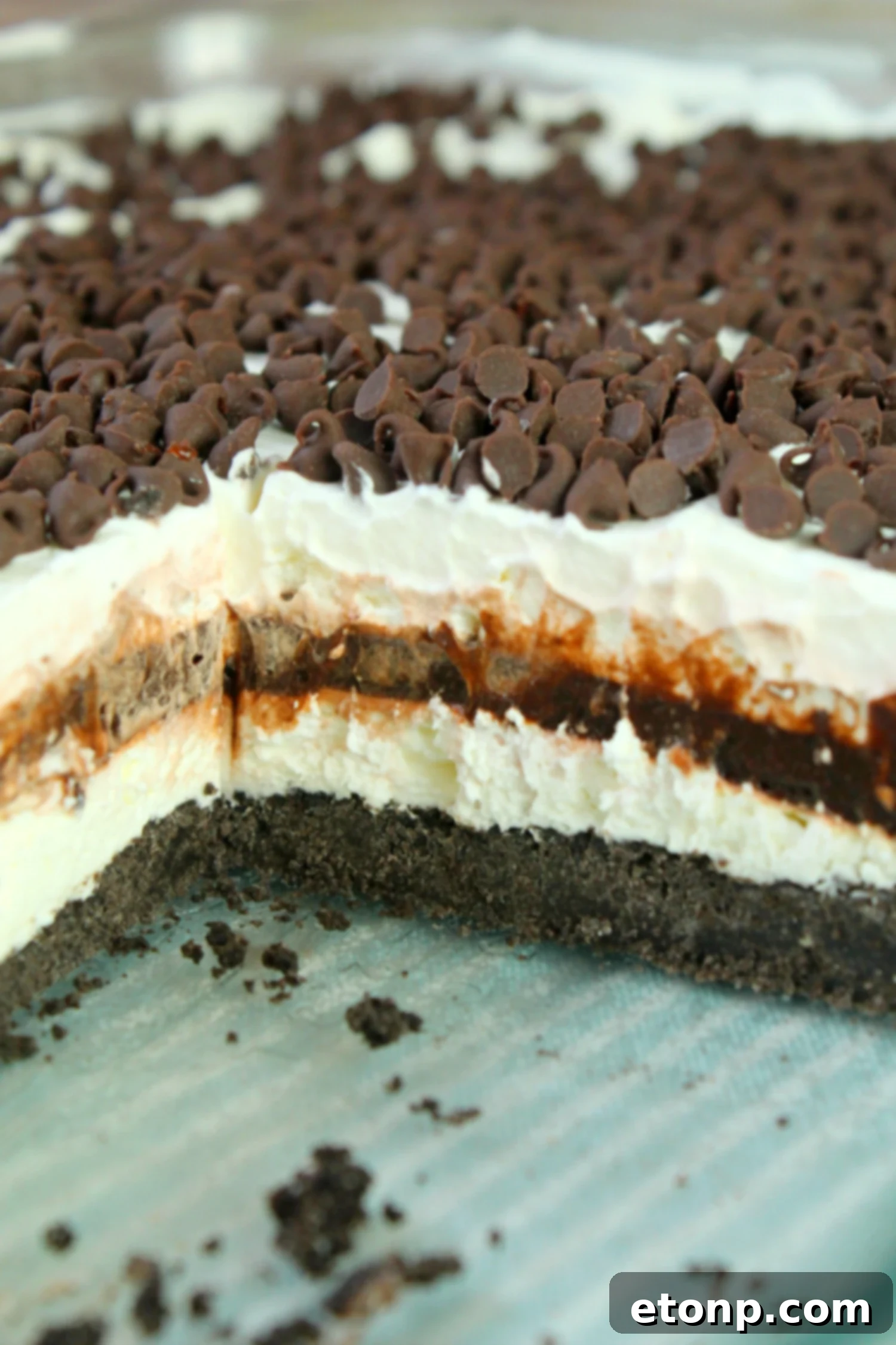 An inviting overhead shot of the finished No-Bake Chocolate Lasagna, generously garnished with mini semisweet chocolate morsels.