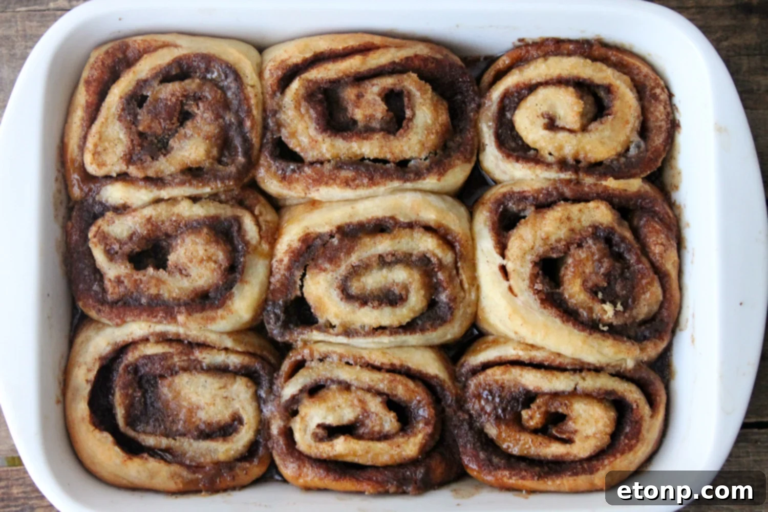 45 Minute Cinnamon Roll Magic 4 Top-down view of a single perfect cinnamon roll on a plate, showing its soft interior and rich filling.