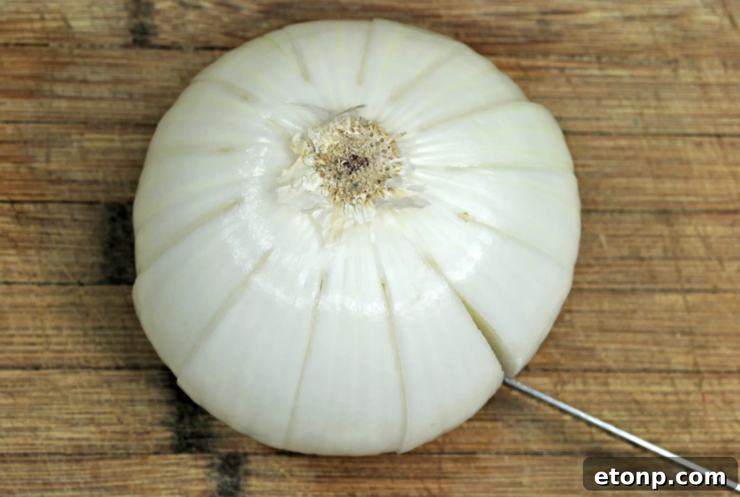 Detailed image of an onion being cut into segments for a Bloomin' Onion