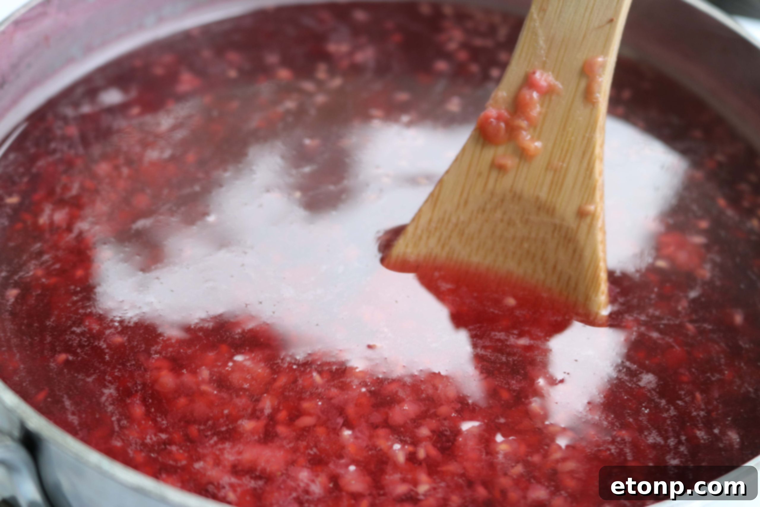 Individual ingredients for Raspberry Sweet Tea including black tea bags, sugar, and fresh raspberries