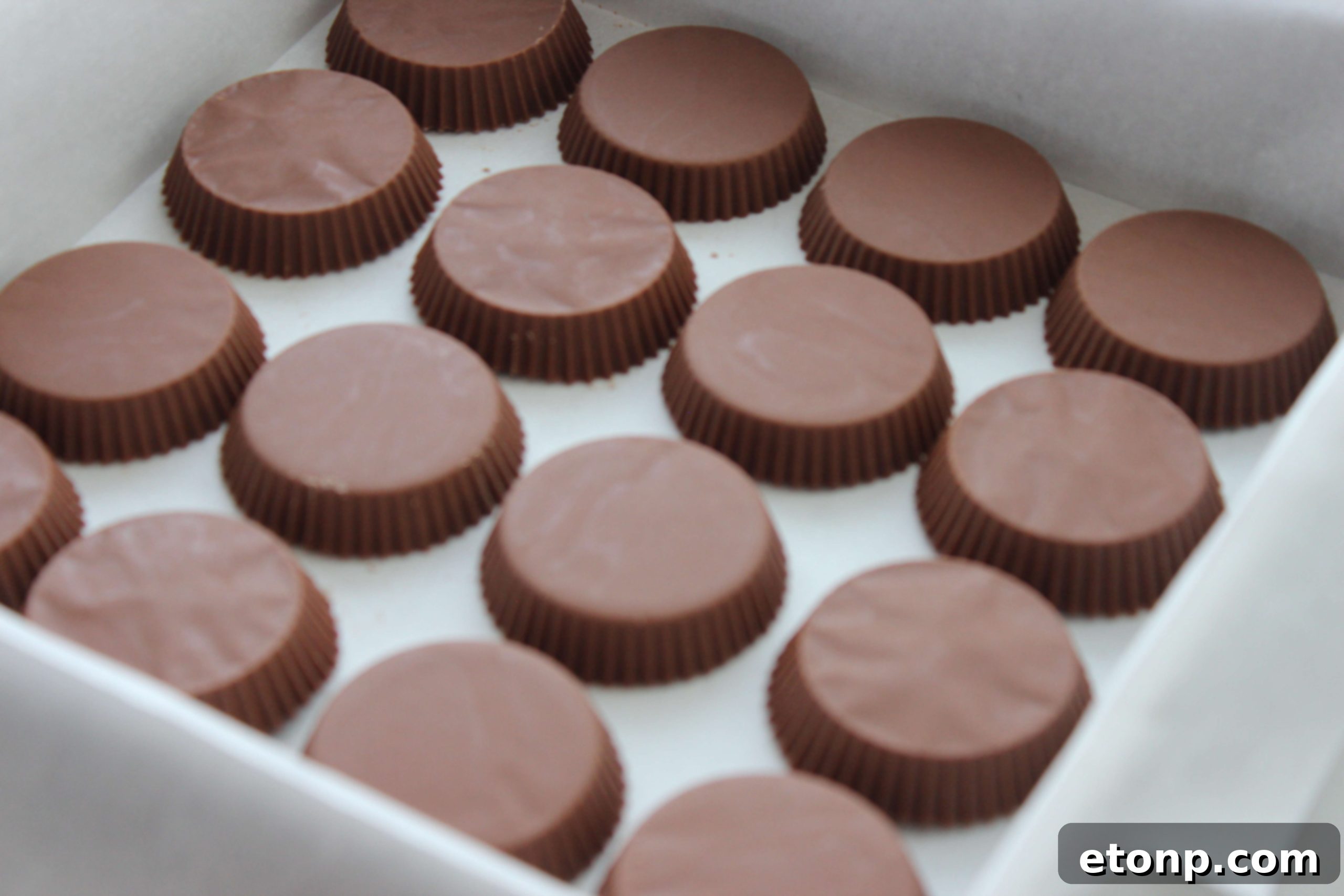 Layers of Reese's Peanut Butter Cups being arranged in a baking pan, ready for the fudge mixture.