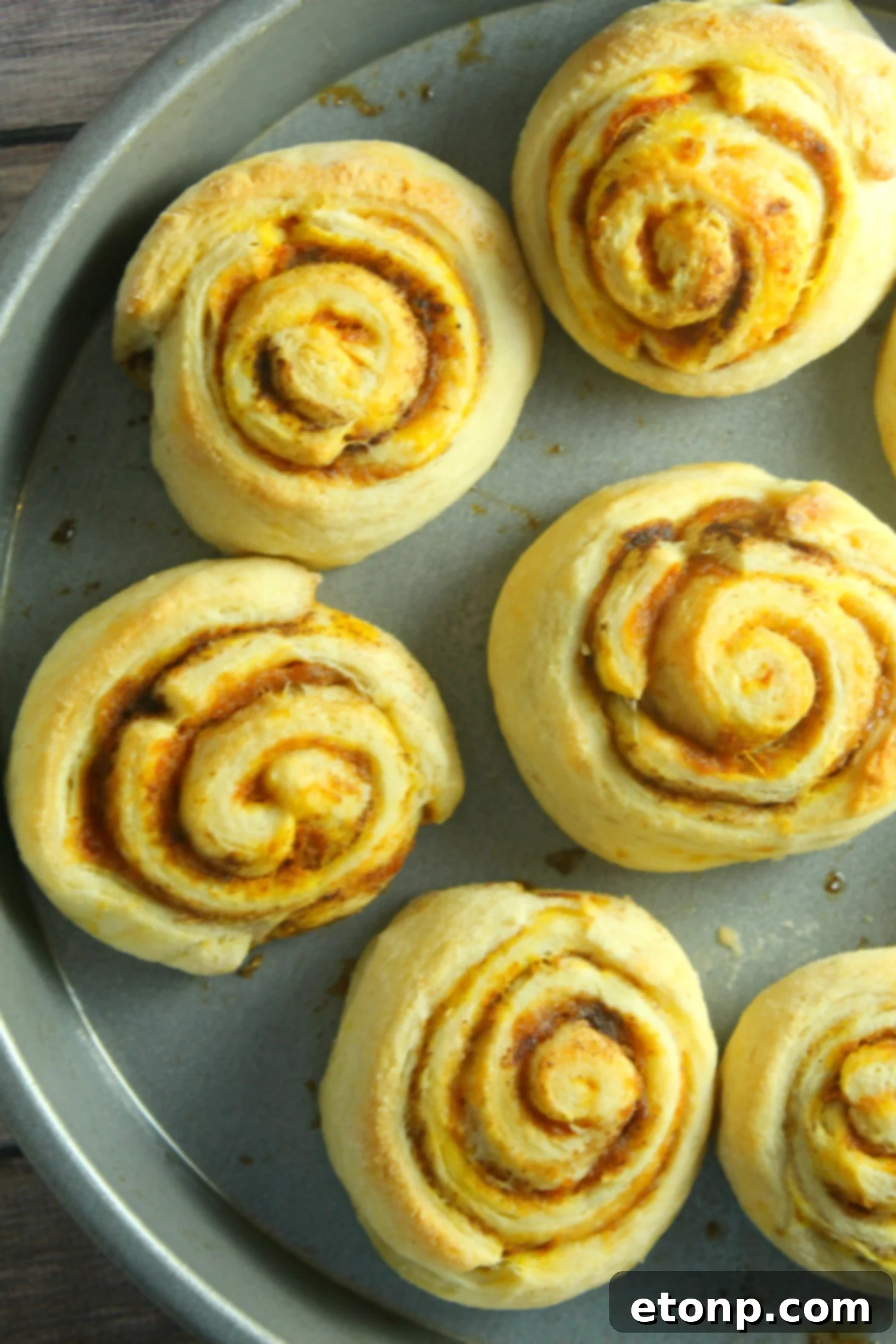A tray of warm, soft pumpkin cinnamon rolls fresh from the oven, showing the beautiful spiral and ready for frosting.