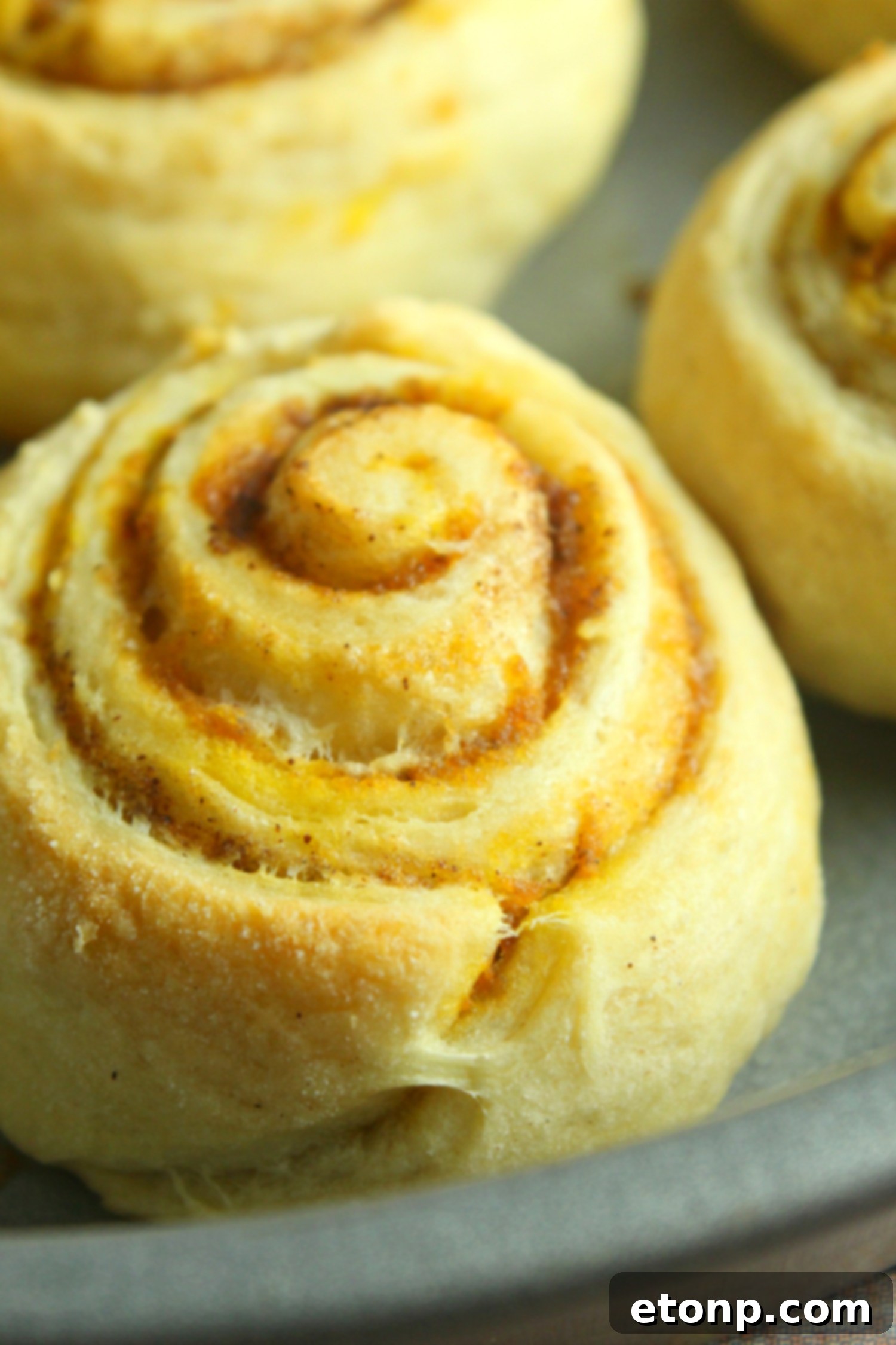 A close-up showing the rich, vibrant orange pumpkin spice filling swirled within a freshly baked cinnamon roll.