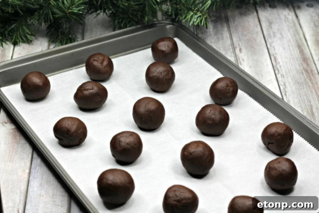Close-up of a hand rolling a chocolate cookie dough ball in a bowl of chopped pecans.