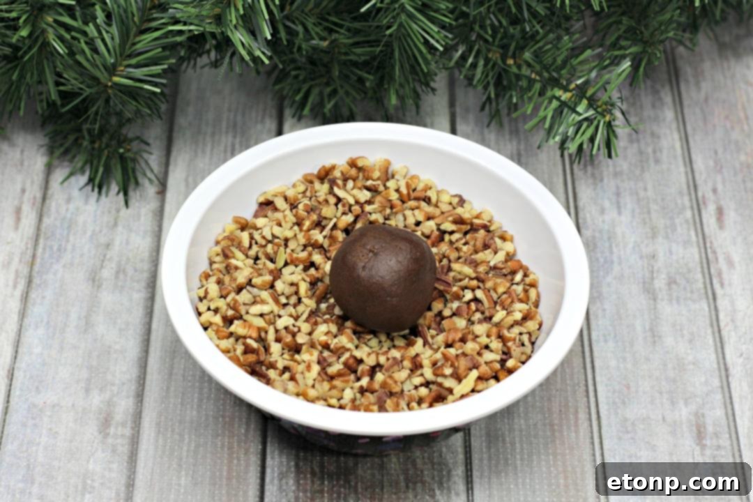Pecan-coated chocolate cookie dough balls arranged evenly on a baking sheet before baking.