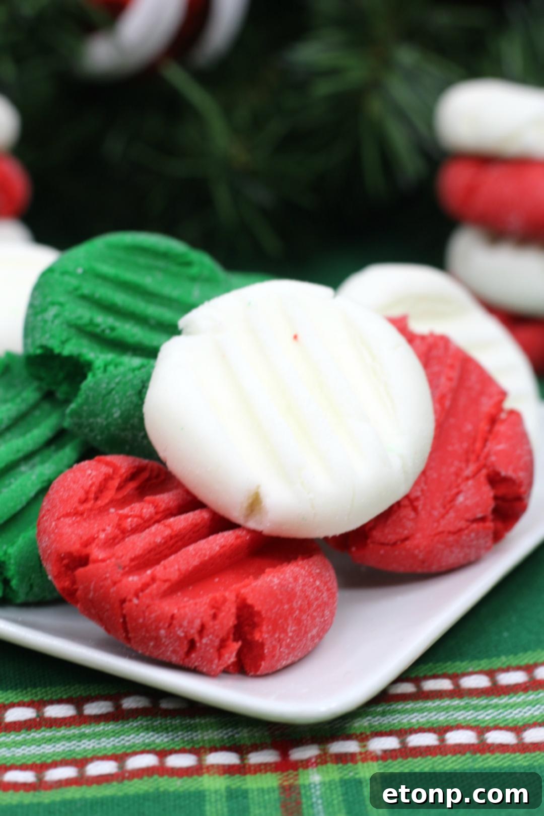Elegantly arranged red, green, and white peppermint patties, perfect for a gift box.