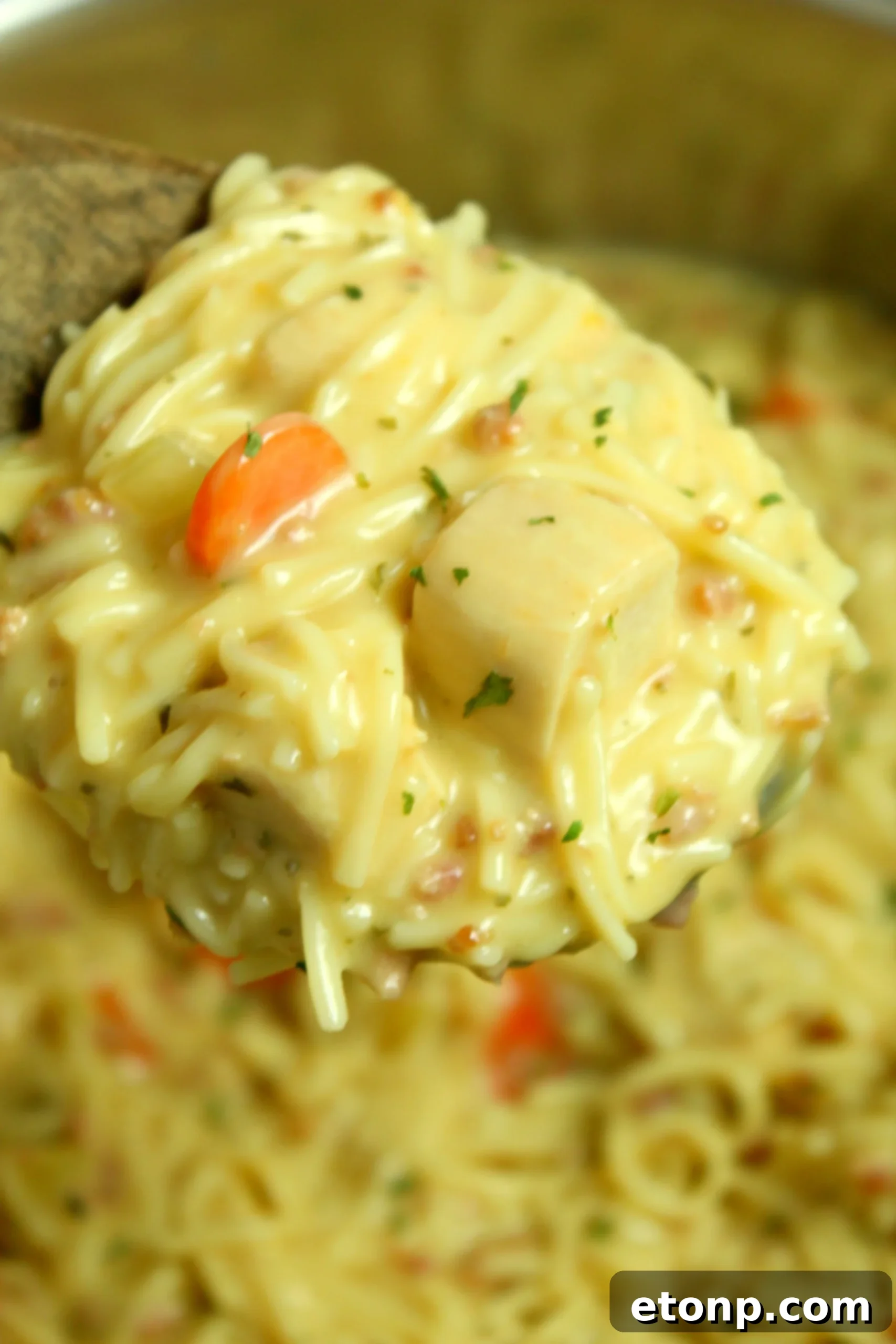 Crack Chicken Noodle Soup in a bowl