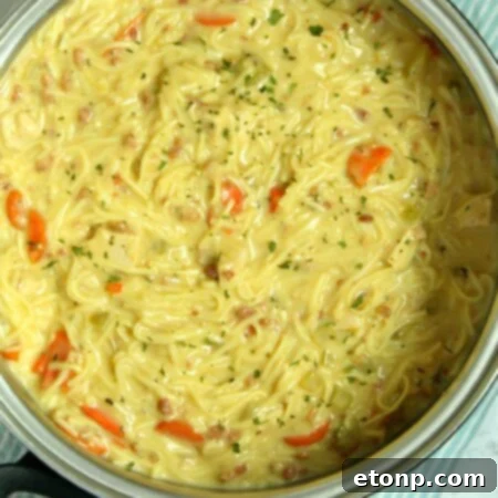 Crack Chicken Noodle Soup thumbnail