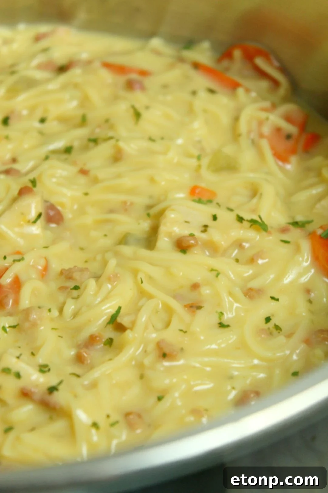 Close-up of Crack Chicken Noodle Soup